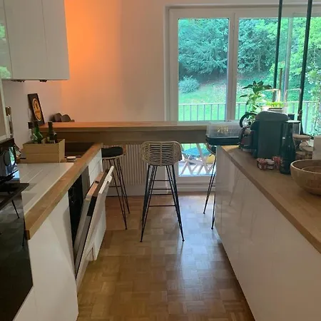 Renove En Bordure De Foret * Clamart
